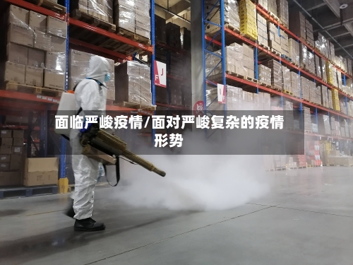 面临严峻疫情/面对严峻复杂的疫情形势