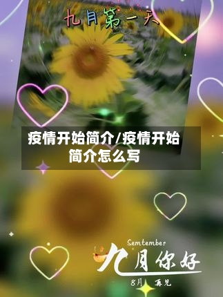 疫情开始简介/疫情开始简介怎么写