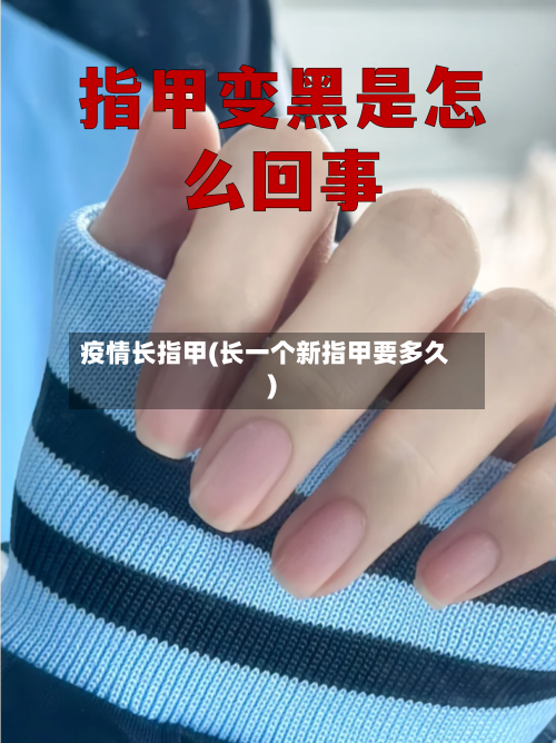 疫情长指甲(长一个新指甲要多久)
