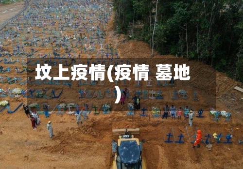 坟上疫情(疫情 墓地)