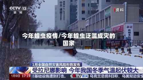 今年蝗虫疫情/今年蝗虫泛滥成灾的国家