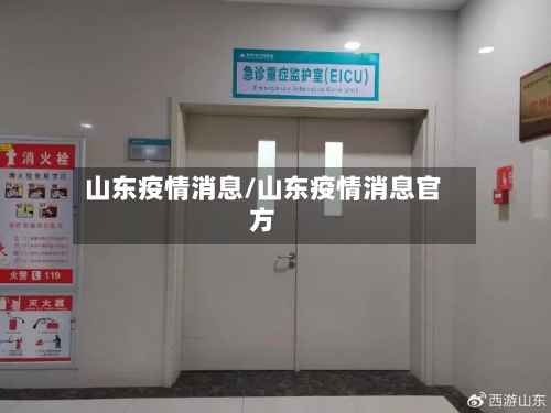 山东疫情消息/山东疫情消息官方