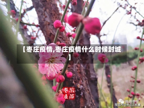【枣庄疫情,枣庄疫情什么时候封城】