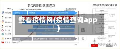 查看疫情网(疫情查询app)