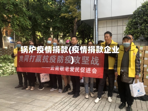 锅炉疫情捐款(疫情捐款企业)