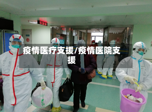 疫情医疗支援/疫情医院支援