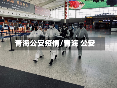 青海公安疫情/青海 公安