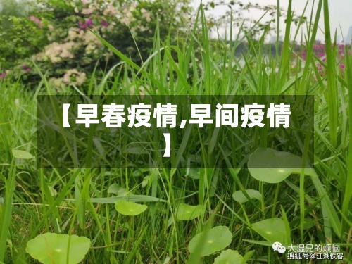 【早春疫情,早间疫情】