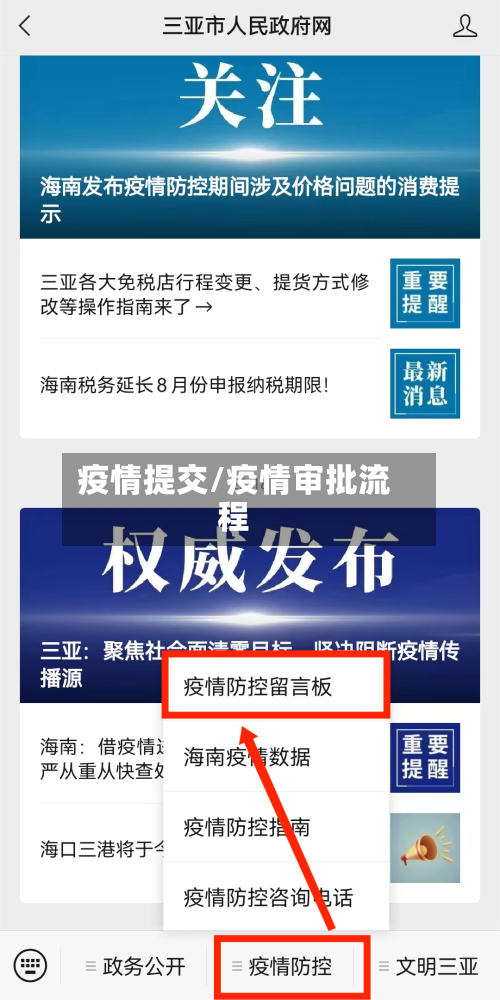 疫情提交/疫情审批流程
