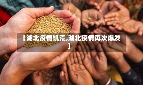 【湖北疫情饥荒,湖北疫情再次爆发】