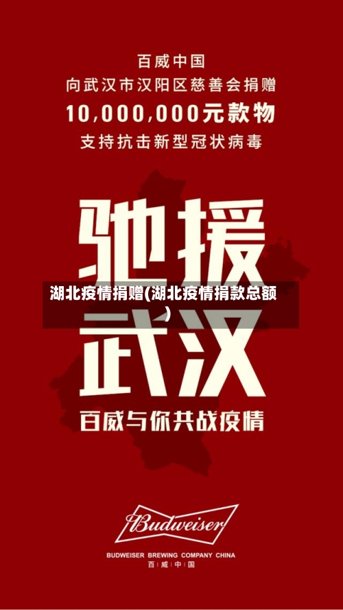 湖北疫情捐赠(湖北疫情捐款总额)