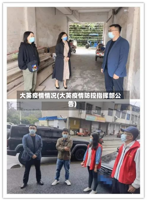 大英疫情情况(大英疫情防控指挥部公告)