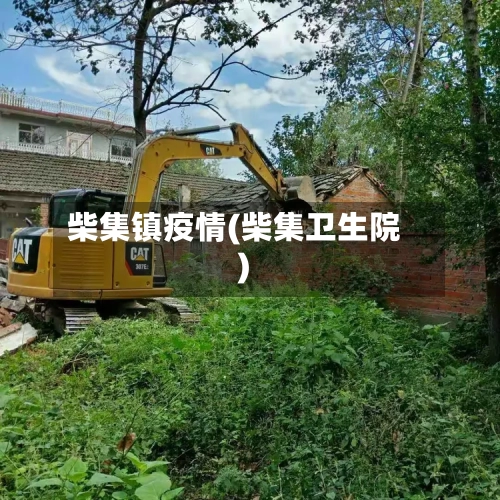 柴集镇疫情(柴集卫生院)