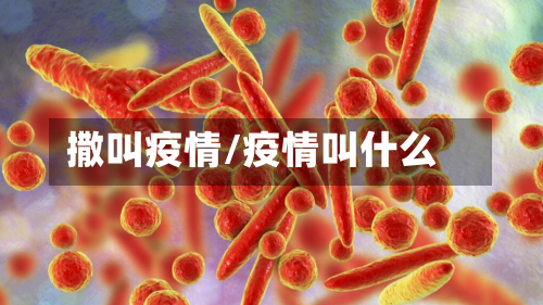 撒叫疫情/疫情叫什么