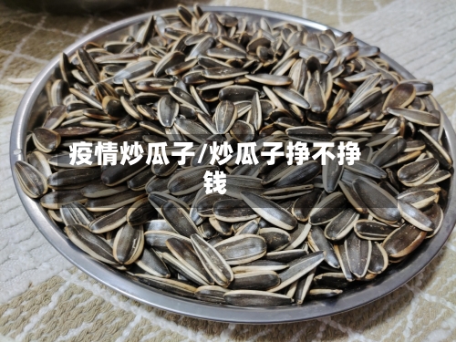 疫情炒瓜子/炒瓜子挣不挣钱
