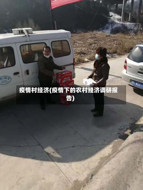 疫情村经济(疫情下的农村经济调研报告)