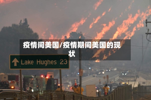 疫情间美国/疫情期间美国的现状