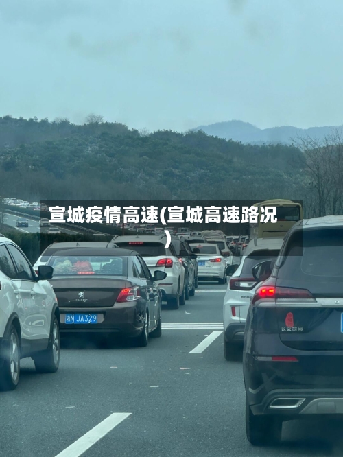 宣城疫情高速(宣城高速路况)