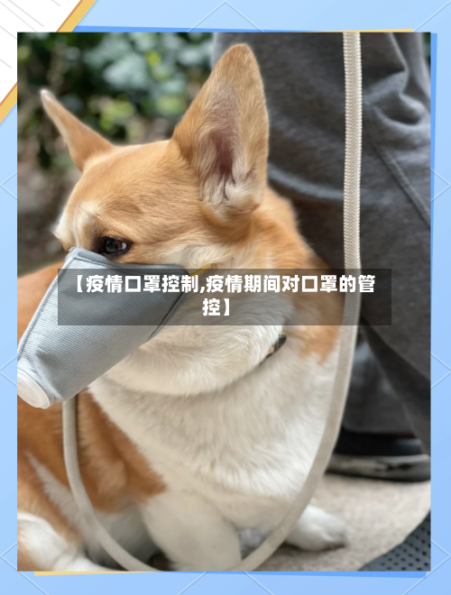 【疫情口罩控制,疫情期间对口罩的管控】
