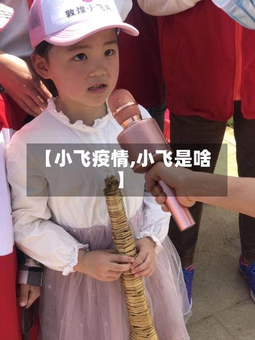 【小飞疫情,小飞是啥】