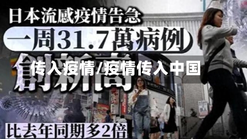 传入疫情/疫情传入中国