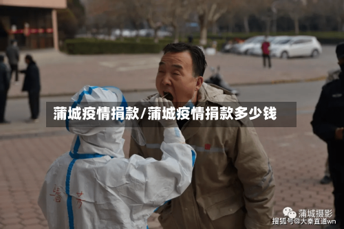 蒲城疫情捐款/蒲城疫情捐款多少钱