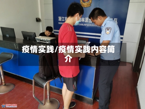 疫情实践/疫情实践内容简介