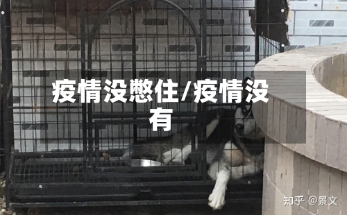 疫情没憋住/疫情没有