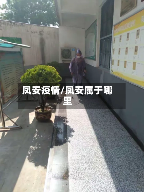 凤安疫情/凤安属于哪里
