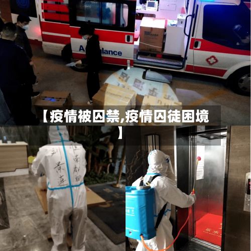 【疫情被囚禁,疫情囚徒困境】