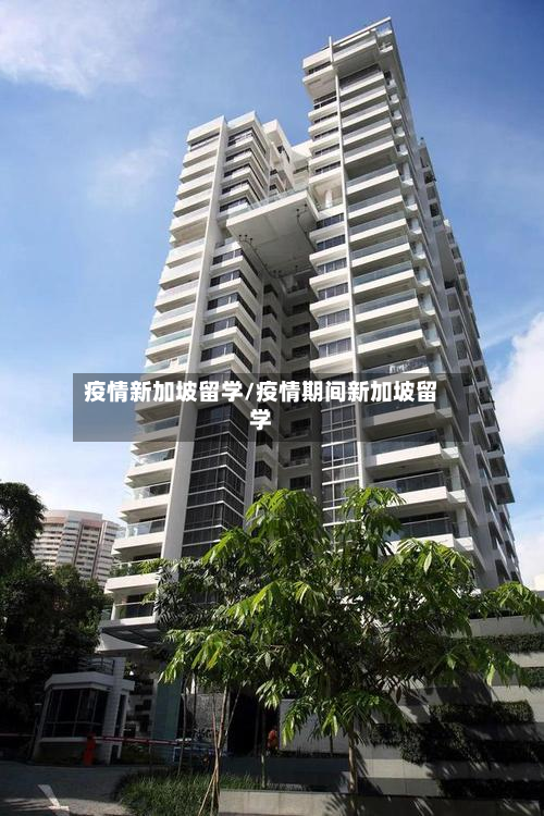 疫情新加坡留学/疫情期间新加坡留学