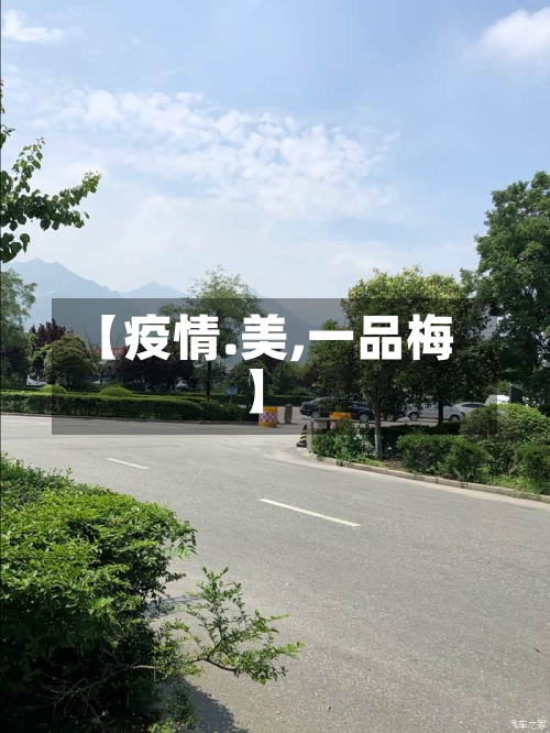 【疫情.美,一品梅】