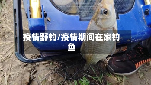 疫情野钓/疫情期间在家钓鱼