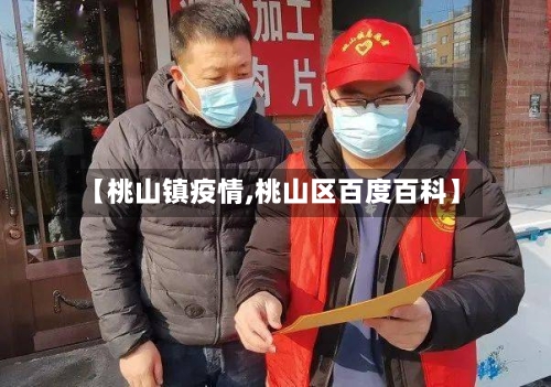 【桃山镇疫情,桃山区百度百科】