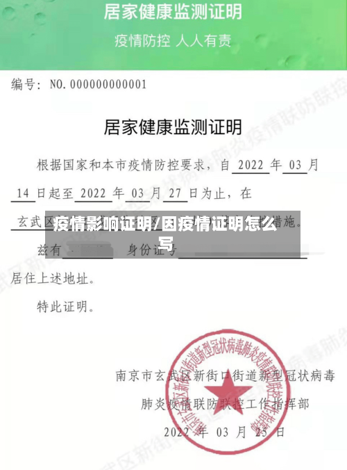 疫情影响证明/因疫情证明怎么写