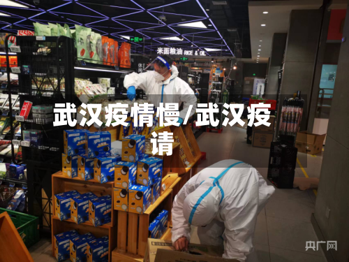武汉疫情慢/武汉疫请