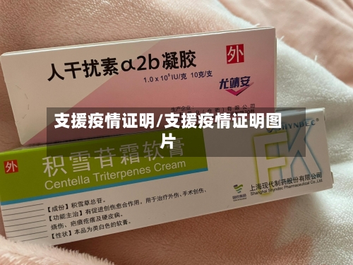 支援疫情证明/支援疫情证明图片