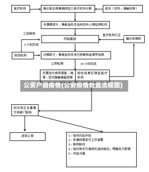 公安户籍疫情(公安疫情处置流程图)