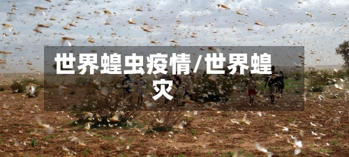 世界蝗虫疫情/世界蝗灾