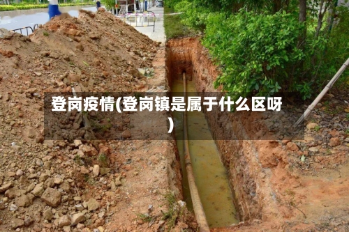 登岗疫情(登岗镇是属于什么区呀)