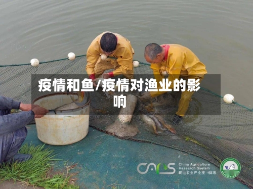 疫情和鱼/疫情对渔业的影响