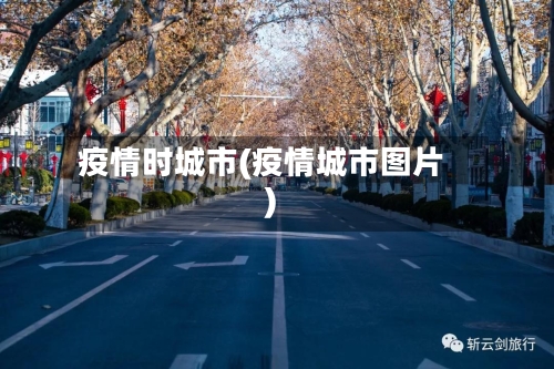 疫情时城市(疫情城市图片)