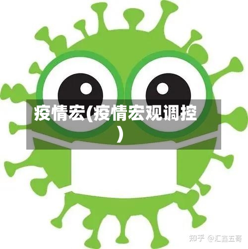 疫情宏(疫情宏观调控)