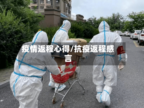 疫情返程心得/抗疫返程感言