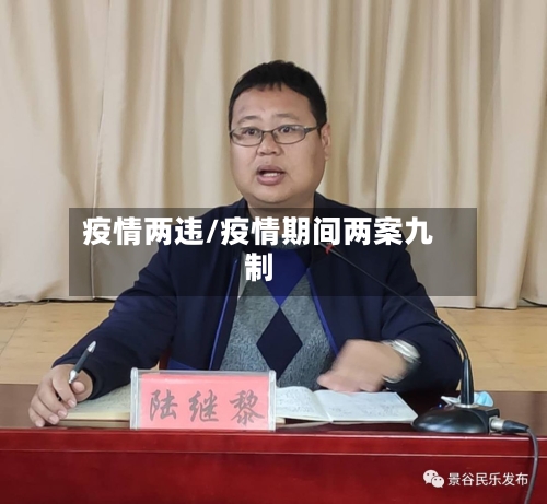 疫情两违/疫情期间两案九制