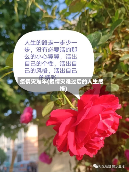 疫情灾难年(疫情灾难过后的人生感悟)