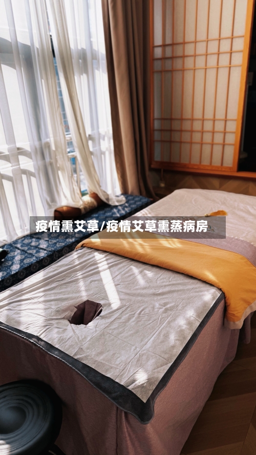 疫情熏艾草/疫情艾草熏蒸病房