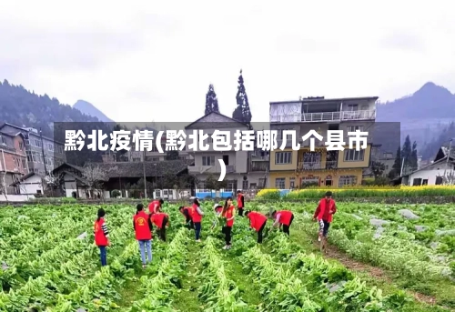 黔北疫情(黔北包括哪几个县市)