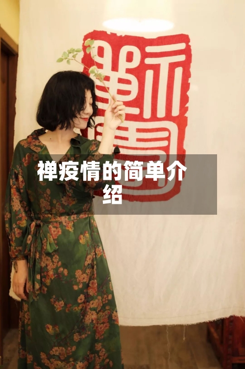 禅疫情的简单介绍