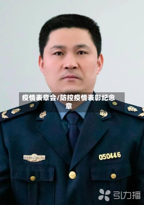 疫情表章会/防控疫情表彰纪念章